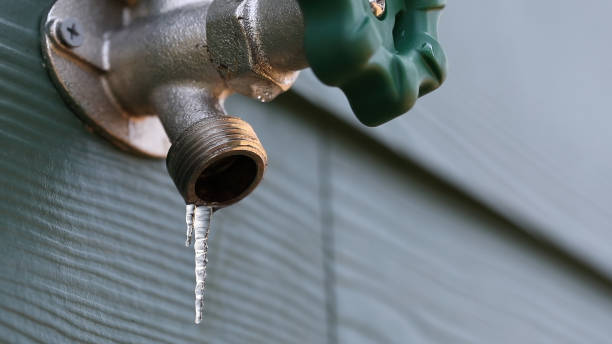 Best Same-Day Plumbing Service  in Lake Orion, MI
